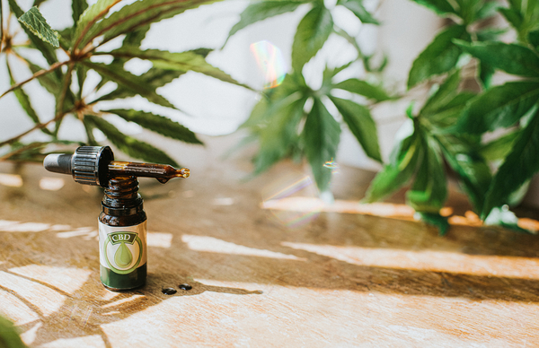 Cover image 2 for CBD beverage trends: What&rsquo;s new?