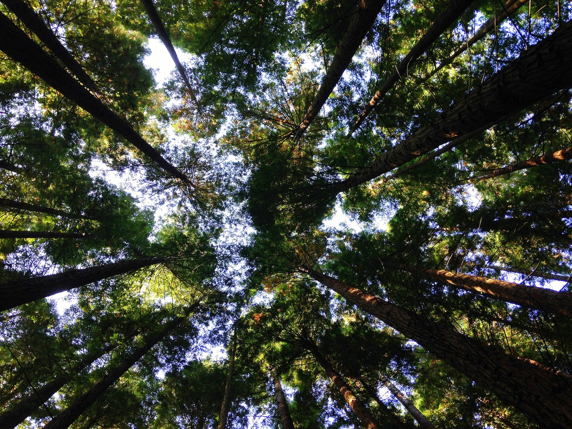 Cover image 2 for The changing climate of sustainability has reached a critical moment