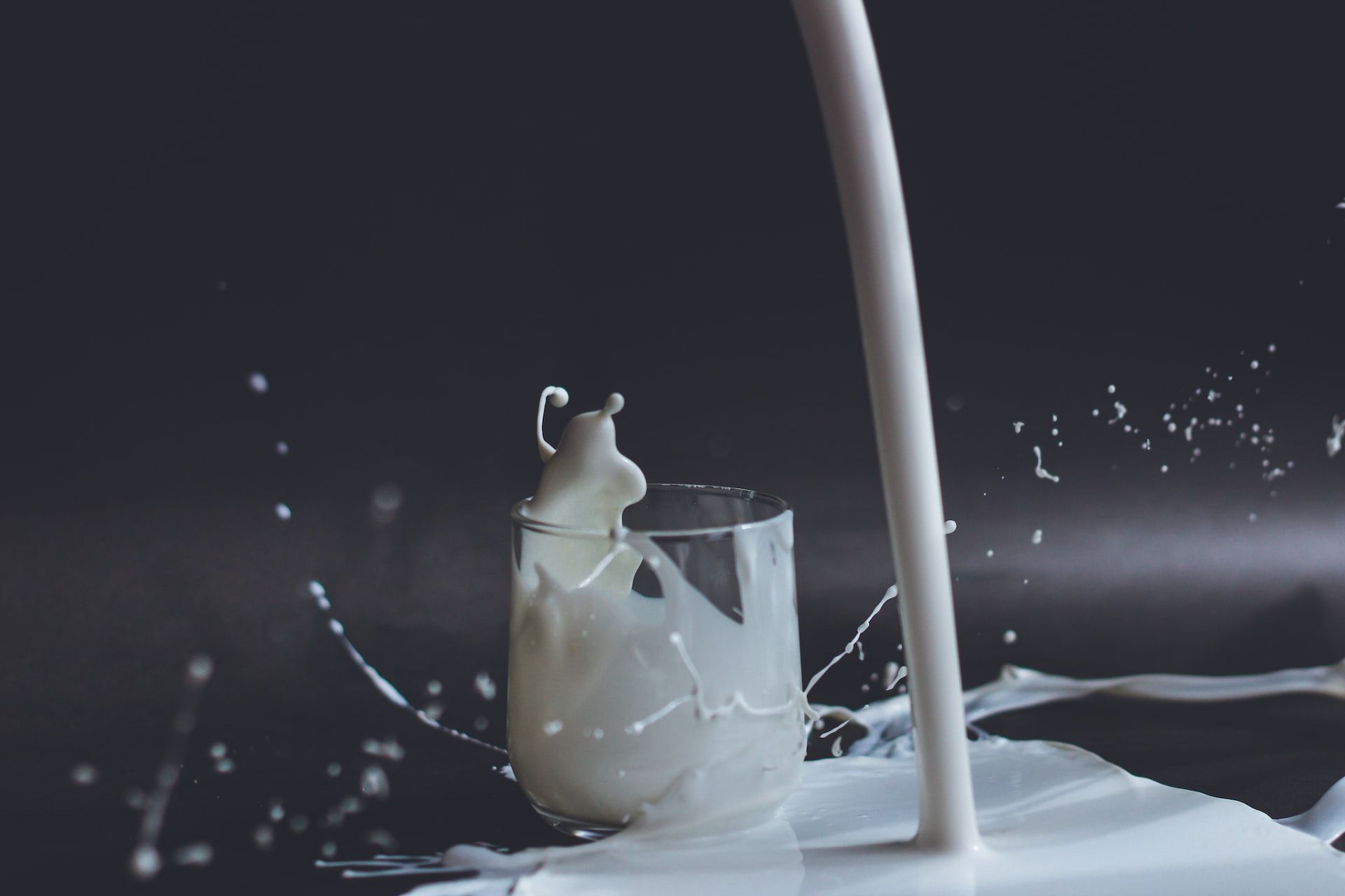 Cover image 1 for Global snapshot: Plant-based dairy alternatives have a permanent place in grocery stores