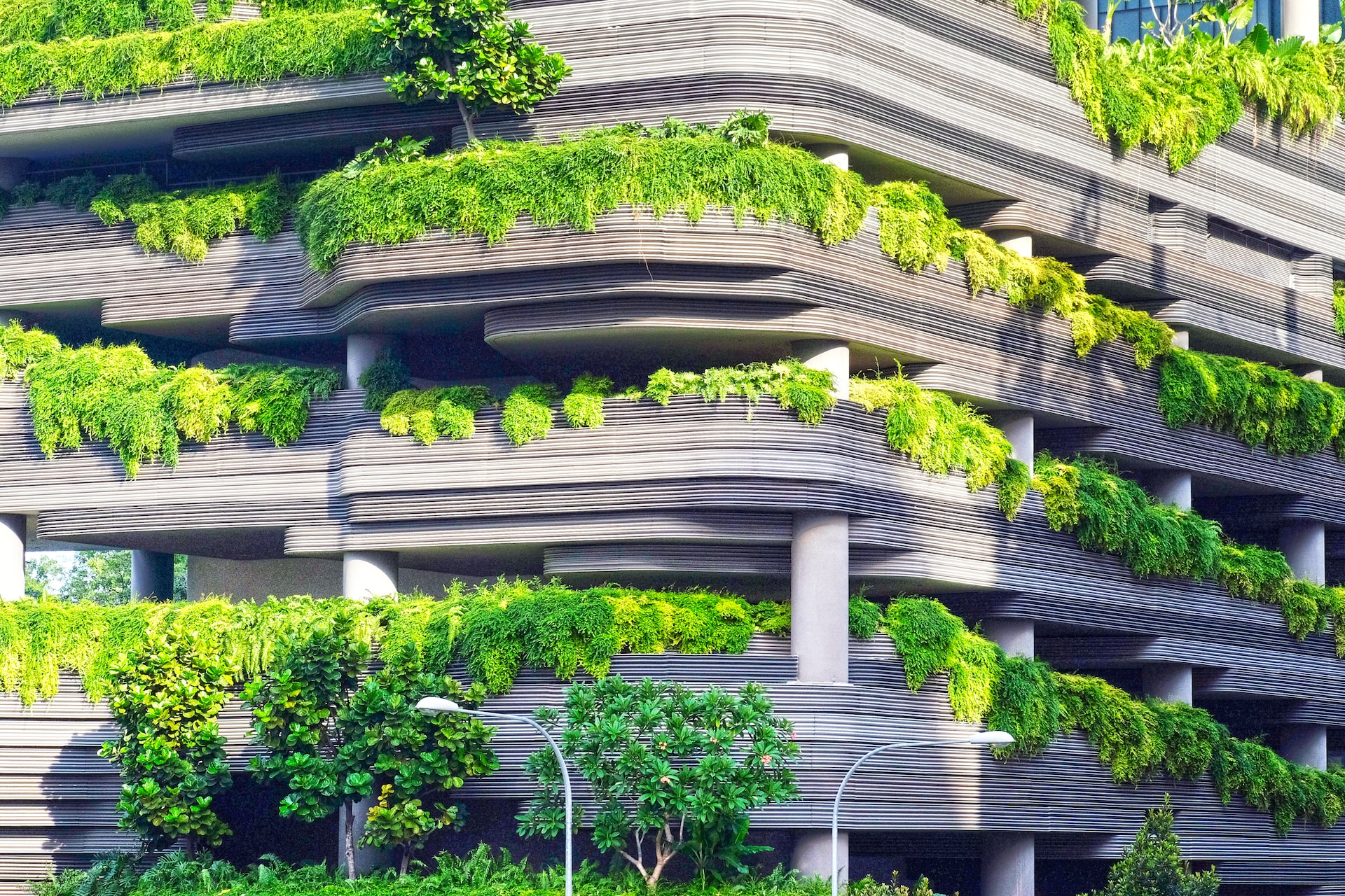 Cover image 12 for Global Sustainability Hub