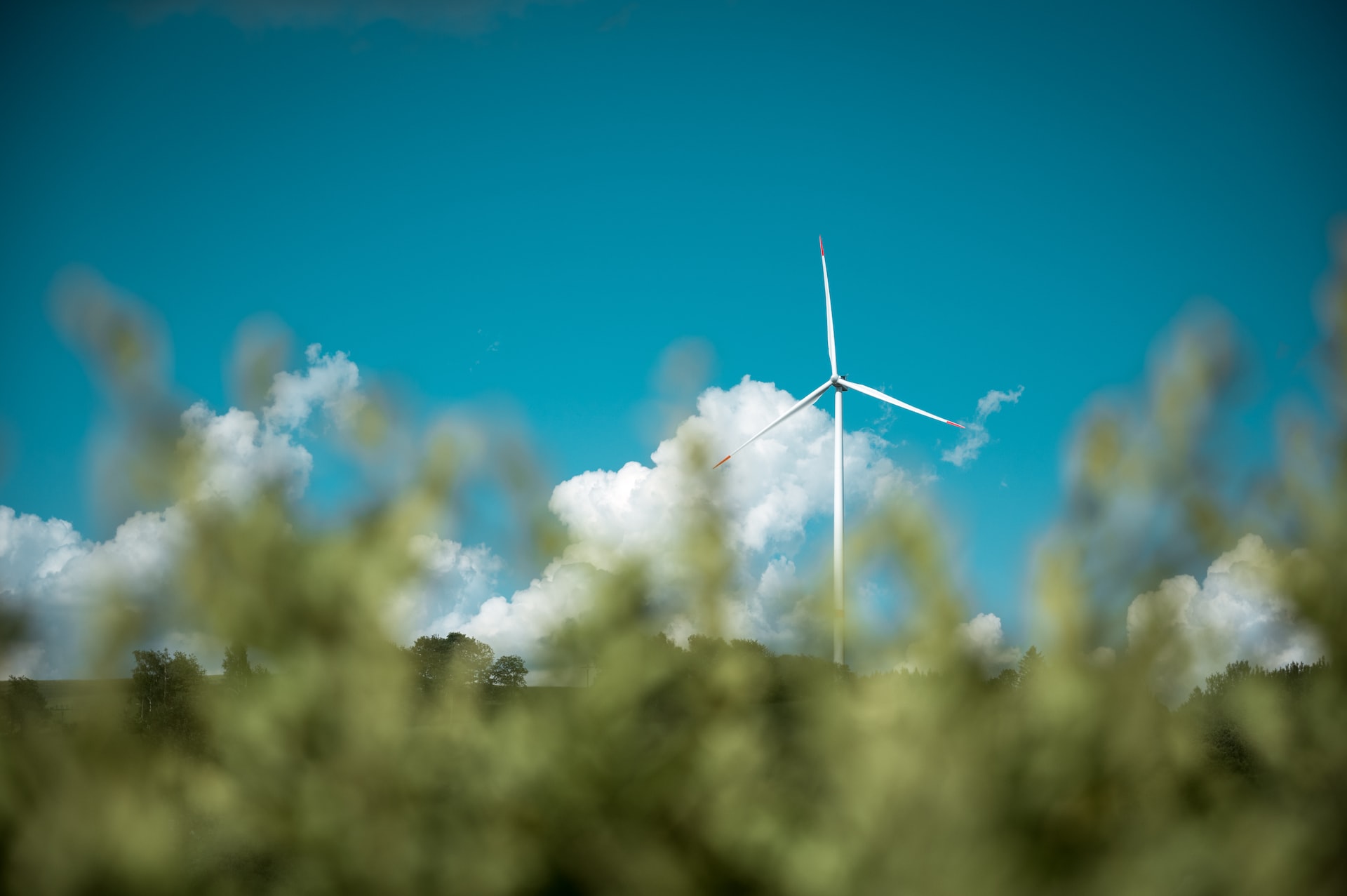 Cover image 11 for Global Sustainability Hub