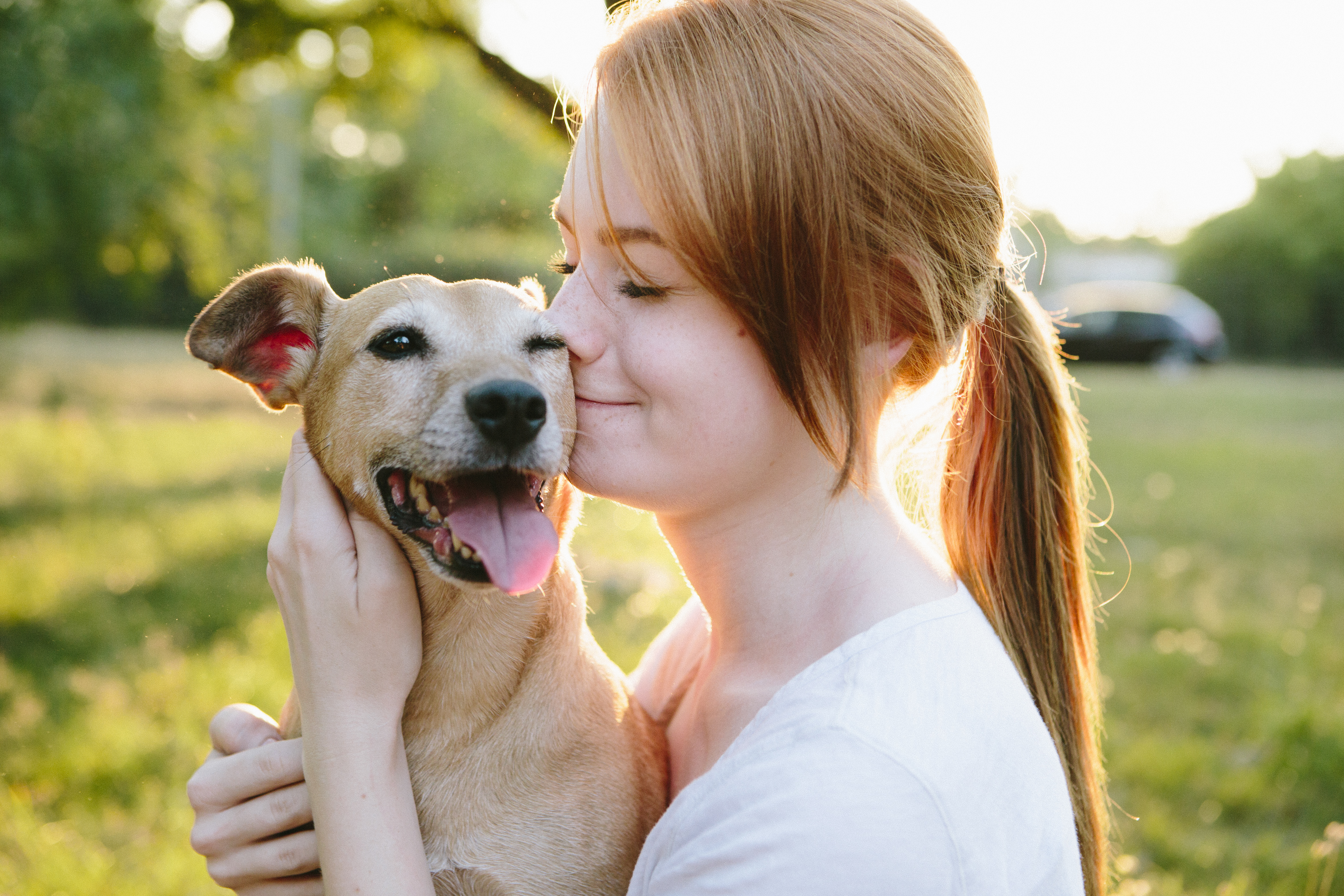 Cover image 1 for Global Pet 2025