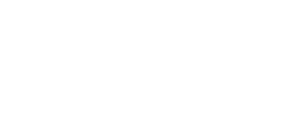 Immagine nel contenuto 20 di Linkontro