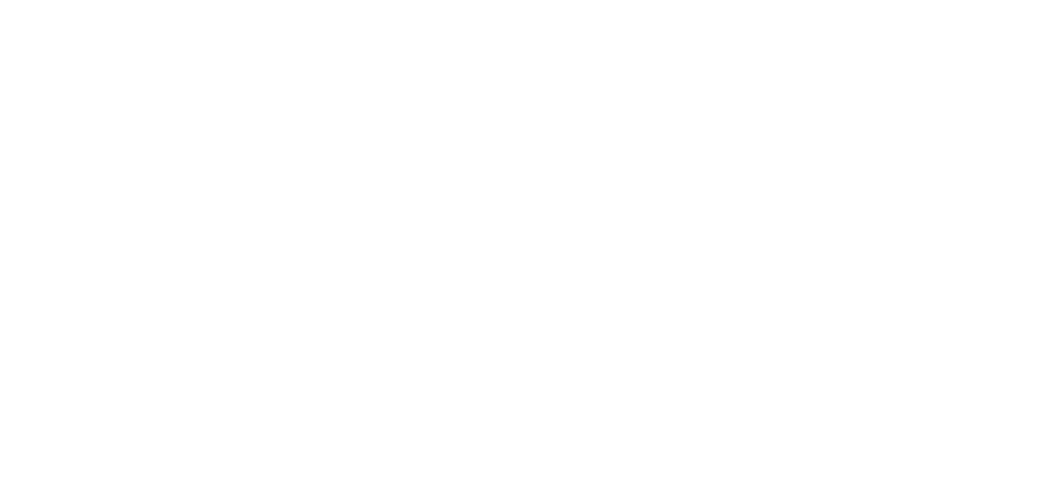 Immagine nel contenuto 21 di Linkontro