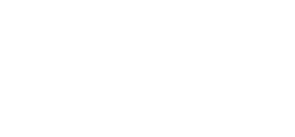Immagine nel contenuto 14 di Linkontro