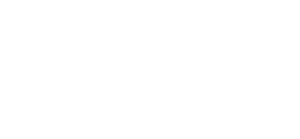 Immagine nel contenuto 15 di Linkontro