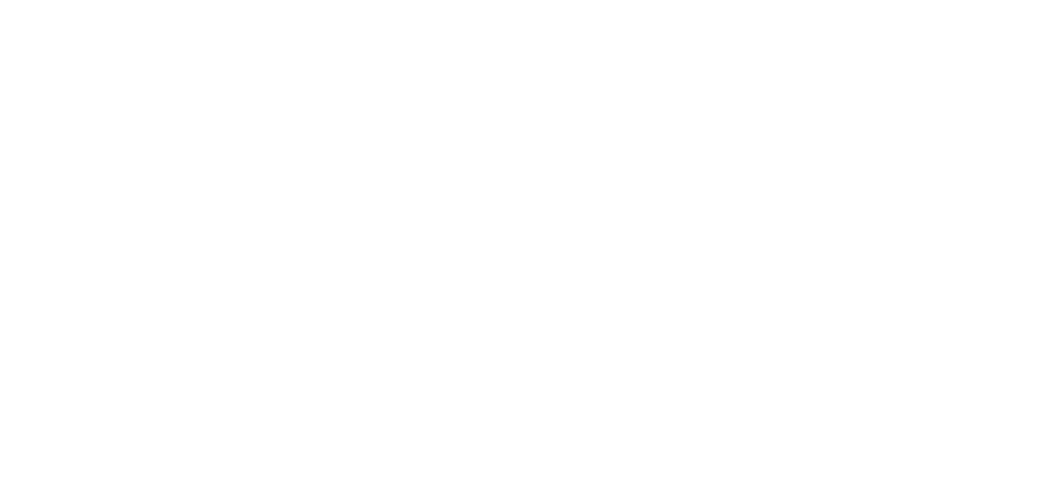 Immagine nel contenuto 16 di Linkontro