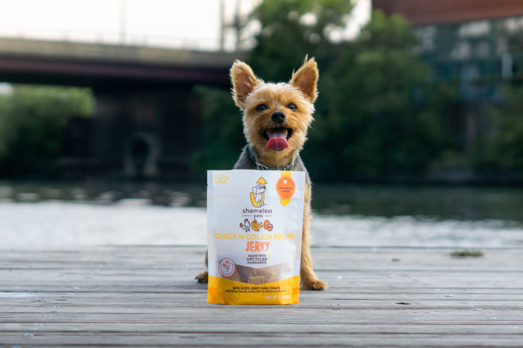 Video: CPG founder share how a novel idea became a pet care shelf staple