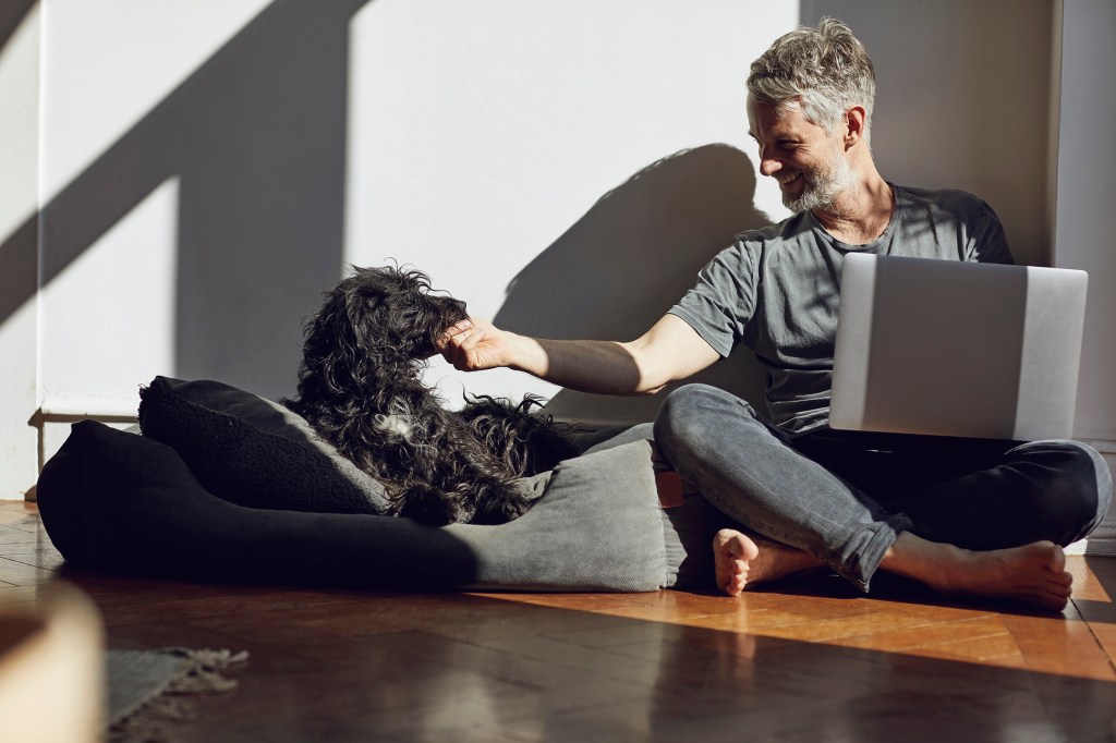 Founder about to watch free webinar