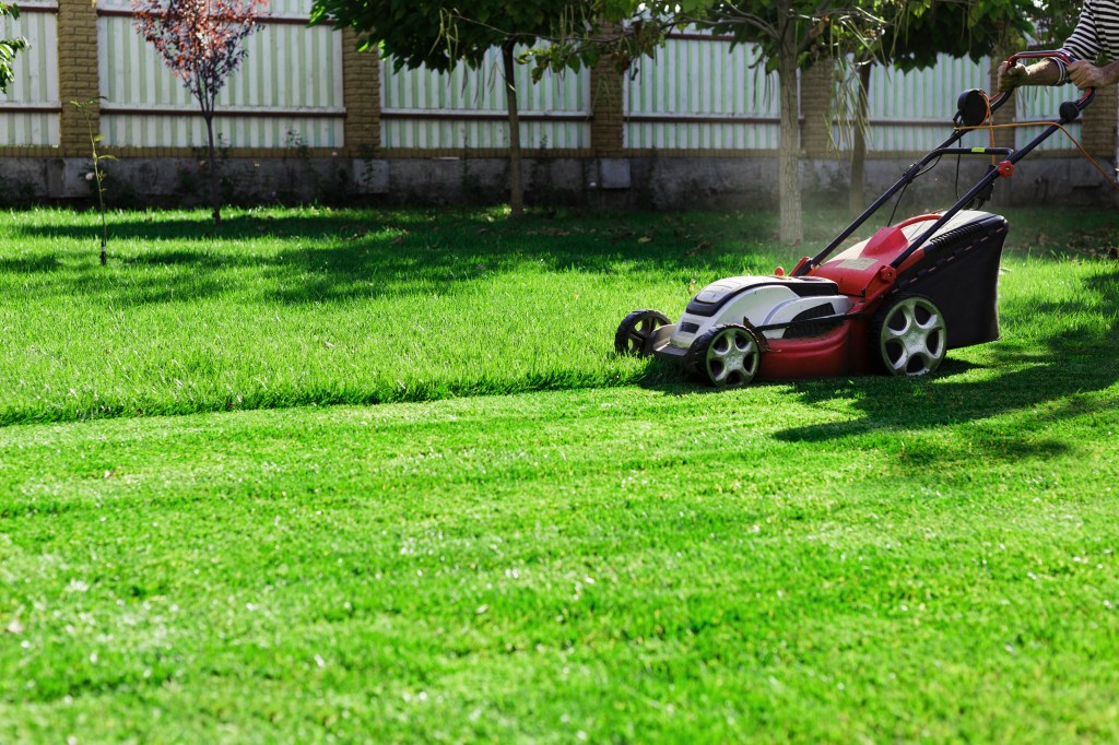 Power or Convenience? Driving Change in the Outdoor Lawn Equipment Market