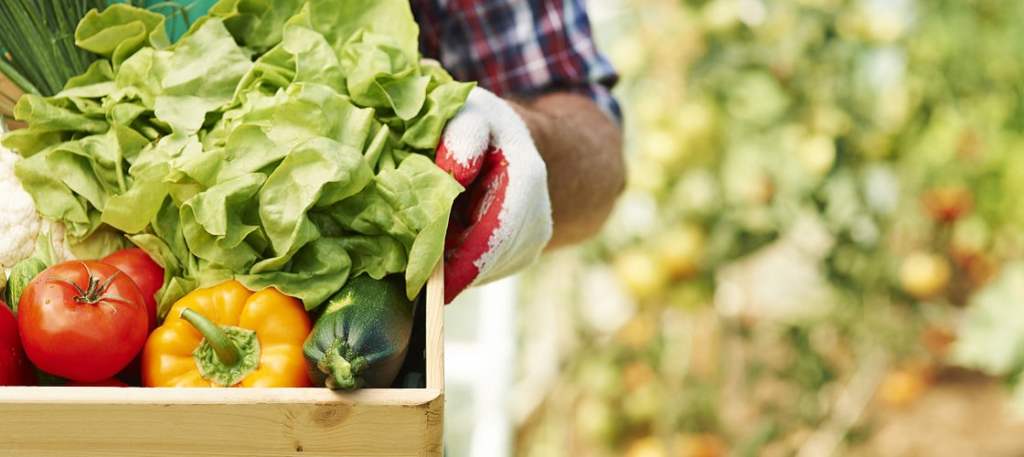 Gardeners gets smart with robotic mowers