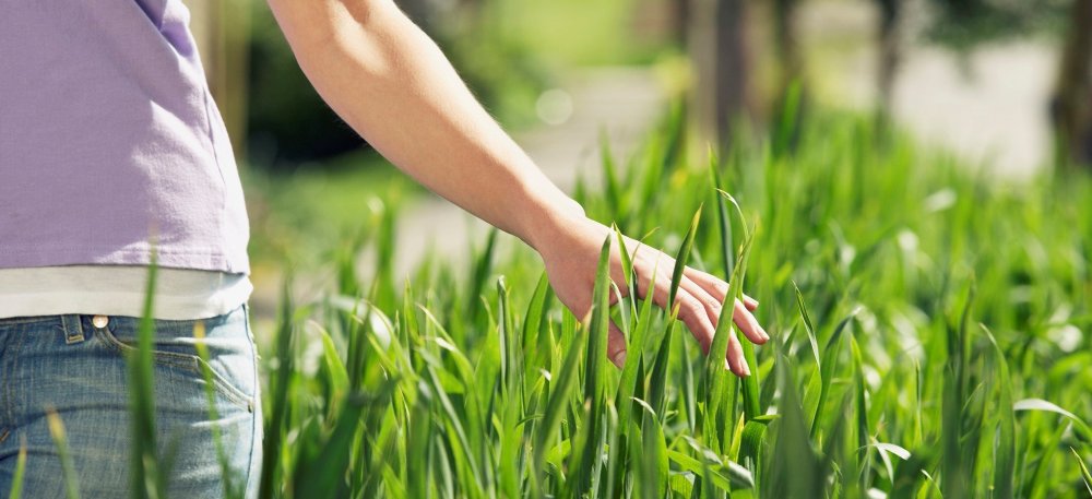 Hero image for Belgians are light green at best: Sustainability is important
