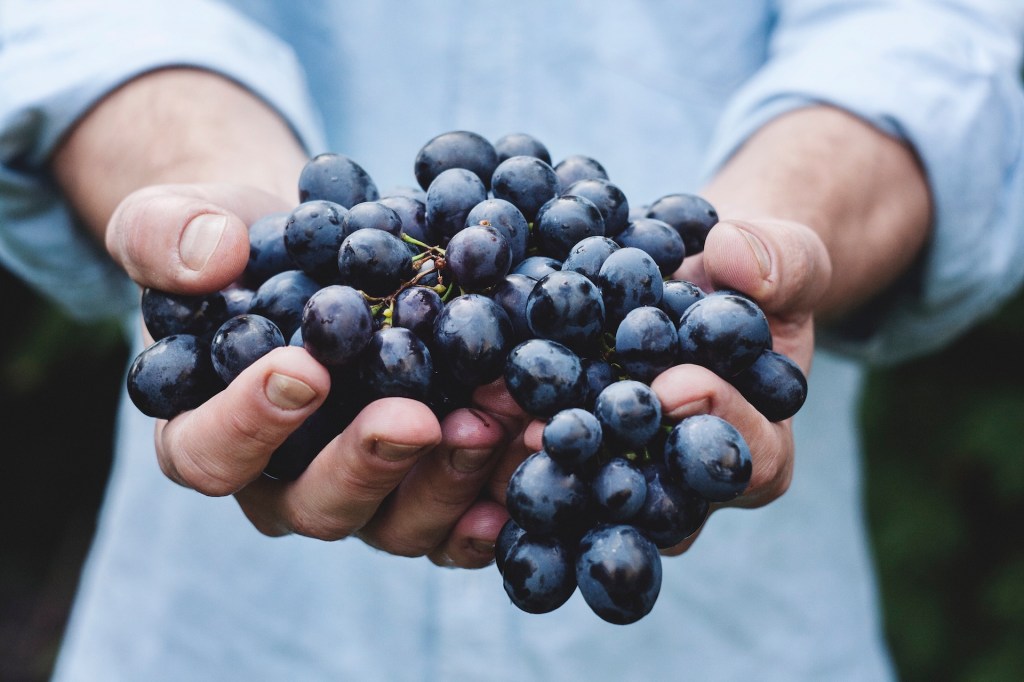 Macro Impacts to the Wine Industry