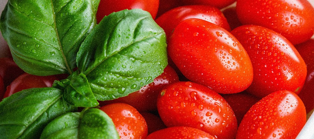 Foodservice Price Index March 2025