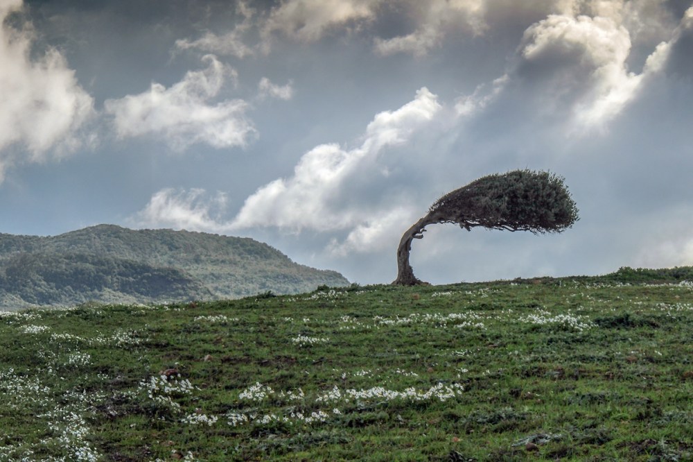 Immagine hero di Il Manuale della Resilienza Aziendale