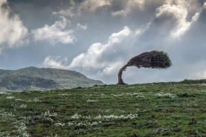 Il Manuale della Resilienza Aziendale