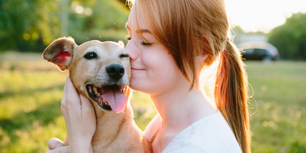 Hero image for NIQ Pet Day – La nuova Full View del mercato Pet Care in Italia