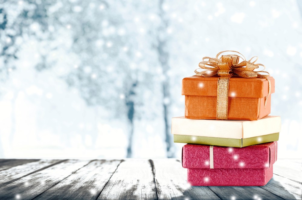 Hero image for Holiday 2025 Shopper Outlook