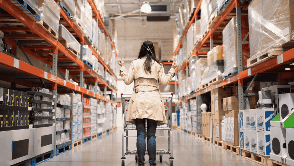 women in a store with a shopping car
