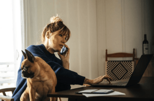 Content That Converts: The Pet Care Edition